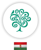 Cirugía de Columna Vertebral y Cirugía de Mínima Invasión en el Centro Nacional de Enfermedades de la Columna. National Center for Spinal Disorders, Budapest, Hungría