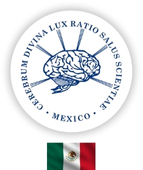 Alta Especialidad: Cirugía de Columna Vertebral en el Instituto Nacional de Neurología y Neurocirugía MVS. CDMX, México.